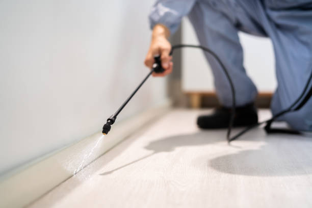 Licensed Fumigation Services service in Alaska, AK - Nex Pest Control